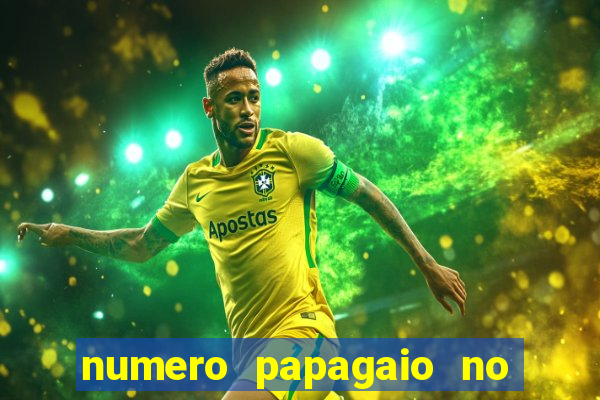 numero papagaio no jogo do bicho